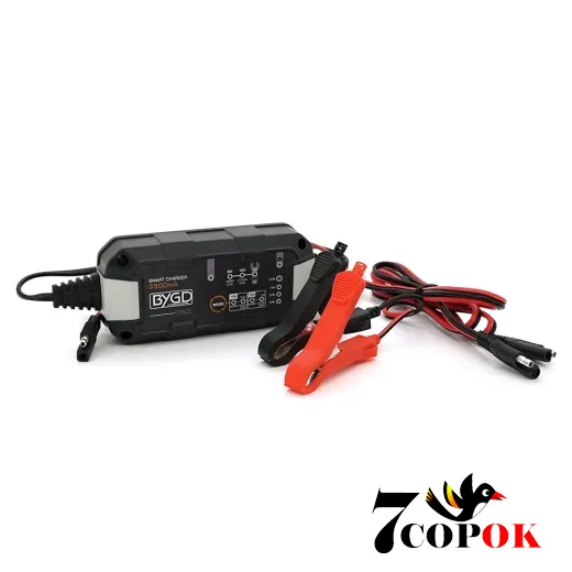 Merlion BYGD FBC1236 6V/12V - зарядное устройство для аккумуляторов, купить