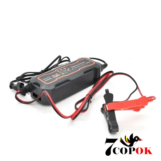 Merlion BYGD 6V/12V 200-240V 0.9-5А - зарядний пристрій для акумуляторів