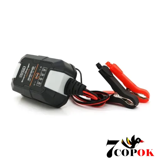 Merlion BYGD 6/12V 220-240V 1,5A - зарядний пристрій для акумуляторів