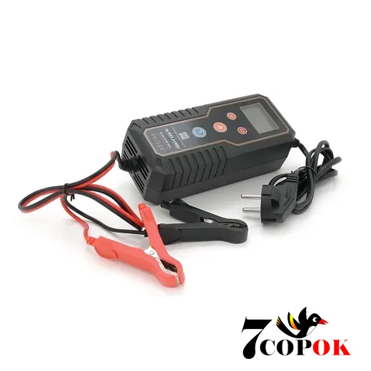 Voltronic BLM-B02 6V/12V 100-240V 1,5A - зарядное устройство для аккумуляторов
