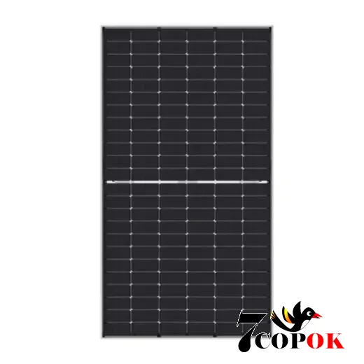 Солнечная панель 580 Вт Jinko Solar JKM580N-72HL4-BDV 580Wp (BiFacial)