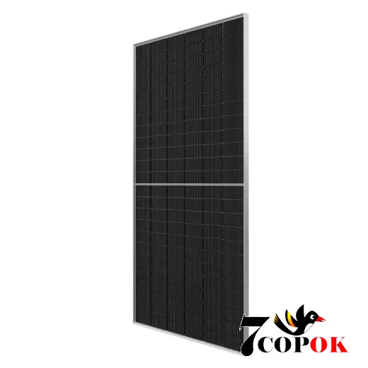 Солнечная панель 650 Вт Longi Solar LR7-72HYD-650M, купить в Украине