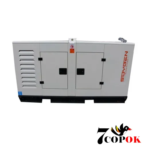 Генератор дизельный SOYGEN SGB 70 KVA, 50.9 кВт, купить в Украине