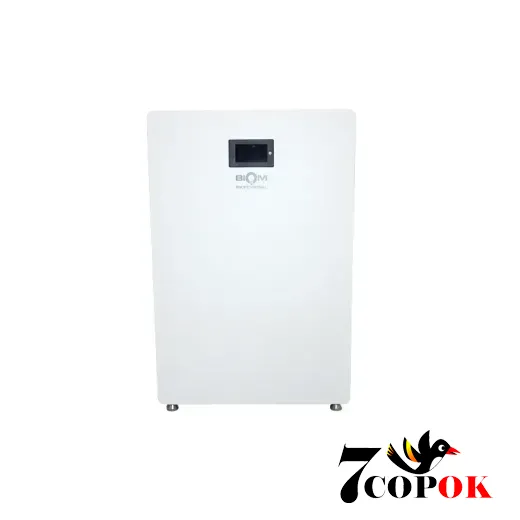 Аккумулятор для солнечных батарей Biom Professional 48В (51.2В) BALFP-512200-V1