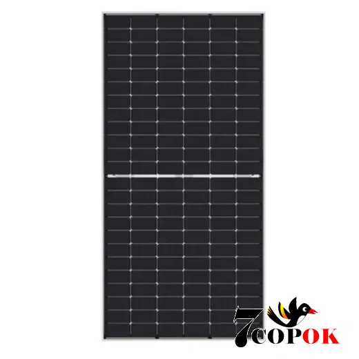 Солнечная панель 620 Вт Jinko JKM620N-66HL4M-BDV 620 Вт, купить