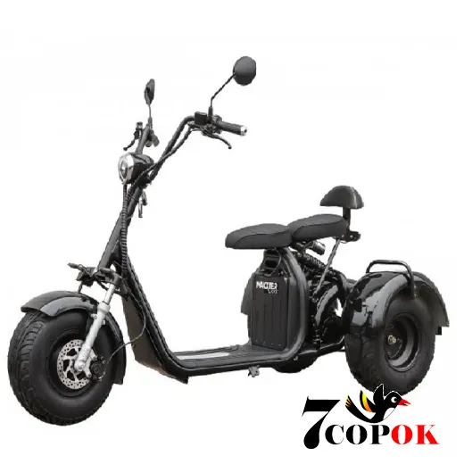 Електроскутер, 1000 Вт, чорний, Електроскутер Maxxter TRIKE (blaсk) купити