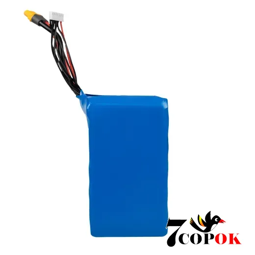 Літій іонний акумулятор LogicPower Li-ion 11,1V 8400 mAh (93,2Wh) 90A Molicel 3S2P
