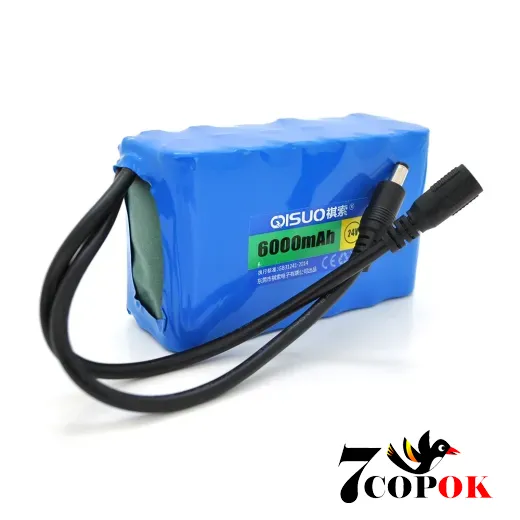 Литий ионный аккумулятор QiSuo 24V 6A з елементами Li-ion 18650, DC5.5x2.1