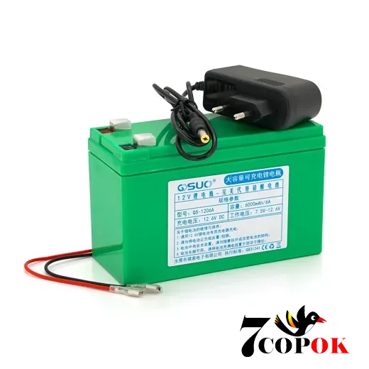 Літій іонний акумулятор QiSuo 12 V 6A Li-ion 18650 (150X65X94) + зарядний пристрій 12,6V 1A