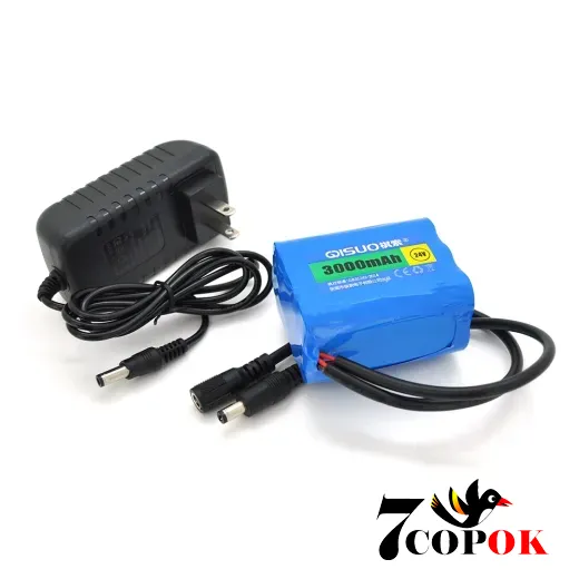 Літій іонний акумулятор QiSuo 24V 3A Li-ion 18650 + зарядний пристрій 25.2V1A, DC5.5x2.1