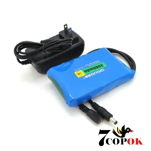 Літій іонний акумулятор QiSuo 24V 3A Li-ion 18650 + зарядний пристрій 25.2V1A, DC5.5x2.1