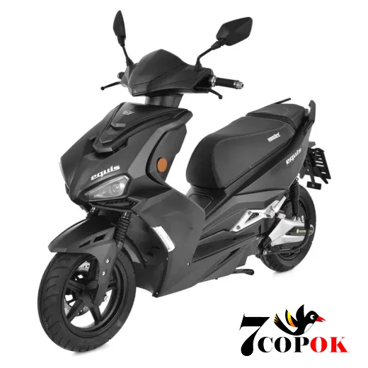 Электроскутер Hecht EQUIS Black, 3 кВт, купить в Украине
