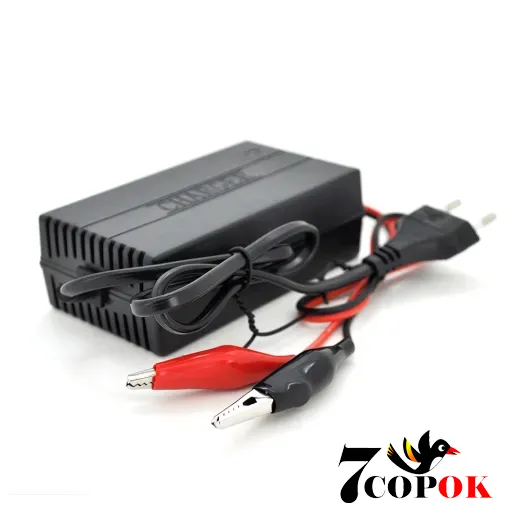 Автоматичний ЗП для акумулятора MERLION,12V,2A 90V-260V,клеми(AGM/Gel/Lead) - зарядное устройство для аккумуляторов