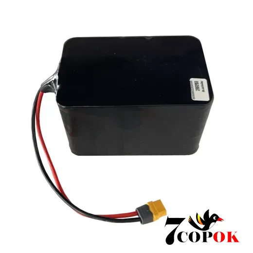 Літій іонний акумулятор LogicPower LP LiIon 11.1V - 42 Ah (466Wh) (BMS 40A40А) Smart BT