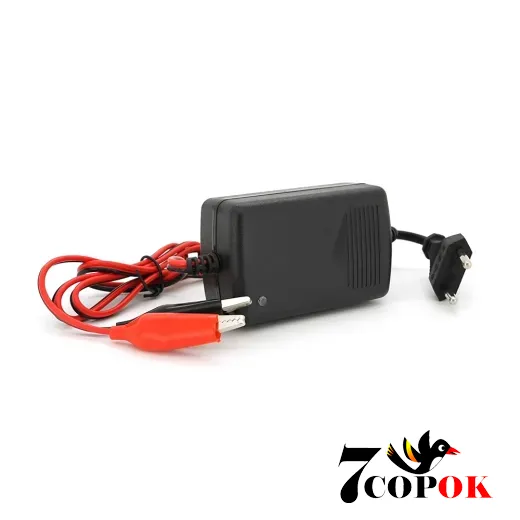 Merlion KF-0602000-GS - зарядний пристрій для акумуляторів, купити