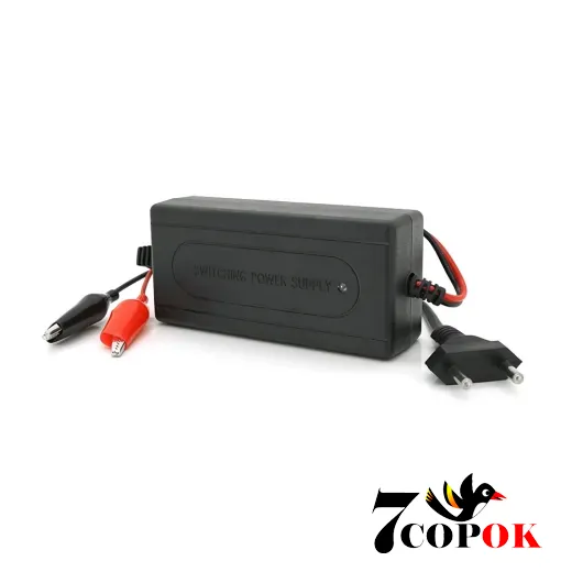 Merlion YT-CH-12200 - зарядное устройство для аккумуляторов, купить