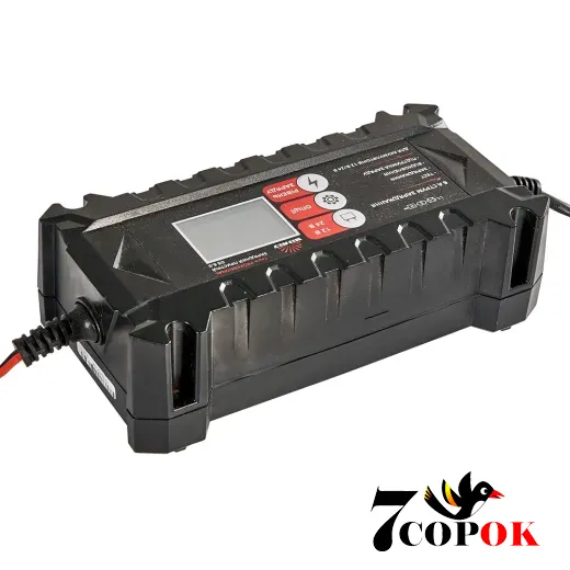Vitals Professional DS 6.0 - зарядний пристрій для акумуляторів, купити