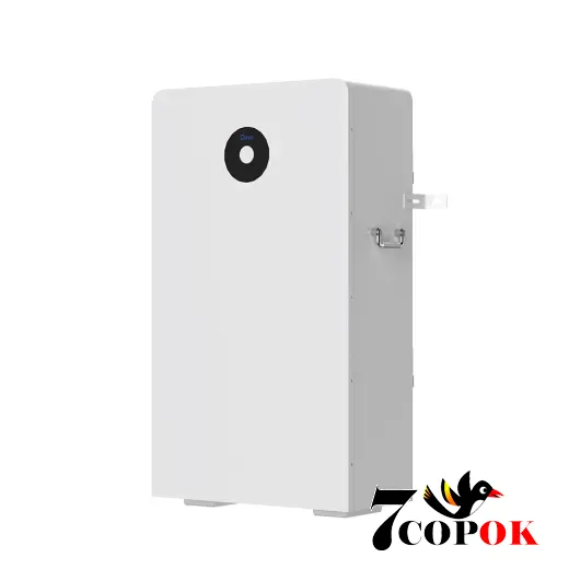 Аккумулятор для солнечных батарей DEYE RW-F16 LiFePO4 LV 51.2V 314Ah 14.4kWh (RW-F16)