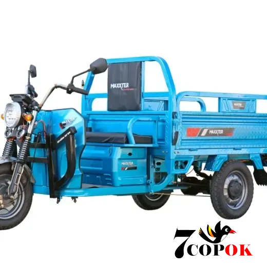 Електроскутер Maxxter CARRIER MAX (Blue), 1.5 кВт, купити в Україні