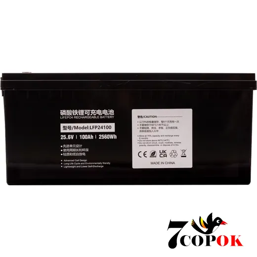 Аккумулятор PowerPlant LiFePO4 24V 100Ah (LFP24100), литий-железо-фосфатный