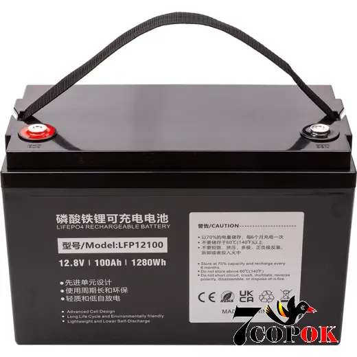 Аккумулятор PowerPlant LiFePO4 12.8V 100Ah (LFP12100), литий-железо-фосфатный