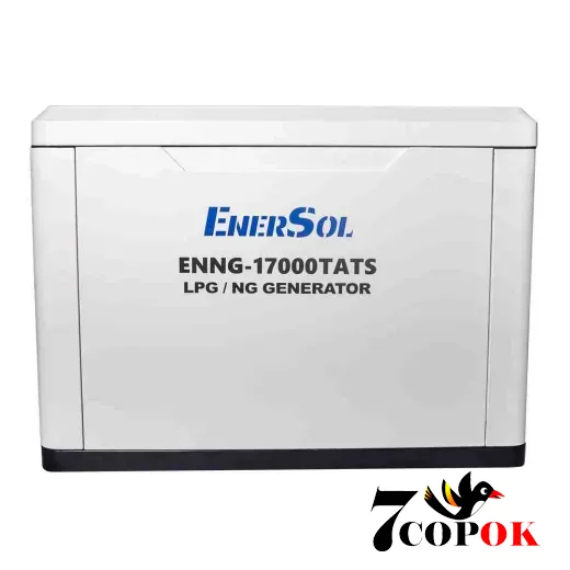 Газовый генератор EnerSol ENNG-17000TATS, 15 кВт, купить в Украине