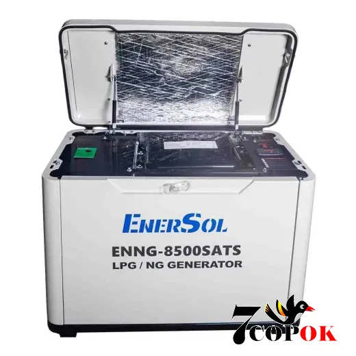 Газовый генератор EnerSol ENNG-8500SATS, 8.0 кВт, купить в Украине
