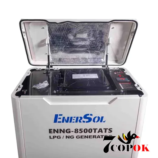 Генератор EnerSol ENNG-8500TATS, 8.0 кВт, купить в Украине