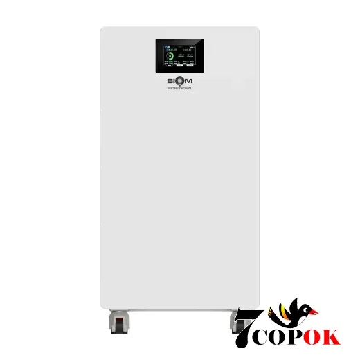 Аккумулятор для солнечных батарей Biom Professional 48В (51.2В) BALFP-512300-V2