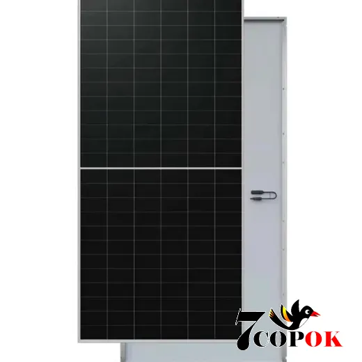 Солнечная панель 645 Вт Longi Solar Hi-MO X10 Scientist LR7-72HVH-645M