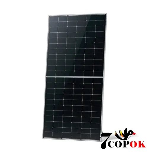 Солнечная панель 615 Вт Jinko Solar JKM-615N-66HL4M-V, купить в Украине