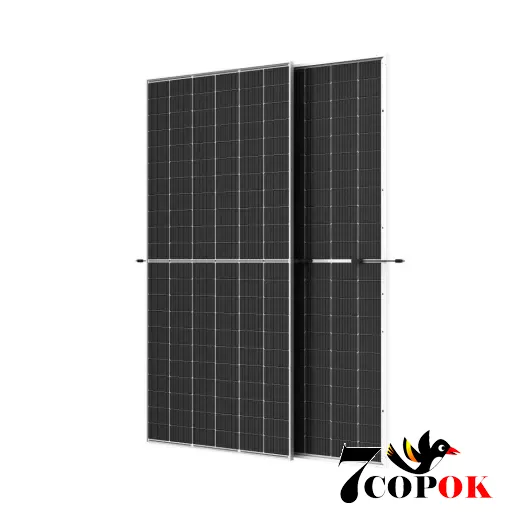 Солнечная панель 620 Вт Trina solar TSM-NEG19RC.20 630W (Ultra) Bifacial