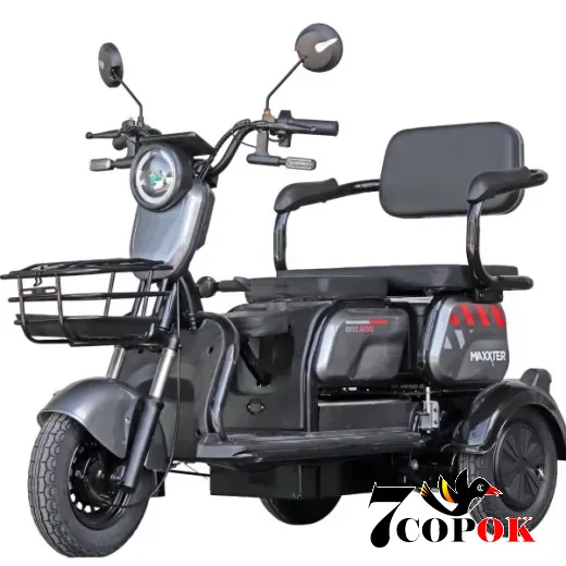 Электроскутер Maxxter ANT LI (Gray), 1 кВт, купить в Украине