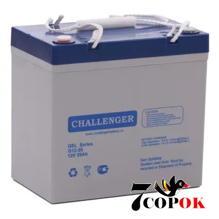 Гелевий акумулятор Challenger G12-55, купити в Україні