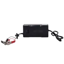 LogicPower LiFePO4 12V 8A 96W