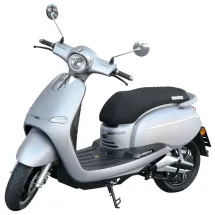Hecht Citis Silver