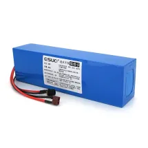 QiSuo 48V 8A (Li-ion 18650)