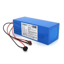 QiSuo 36V 12A (Li-ion 18650)