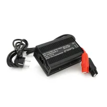 Voltronic AGM 12V 15A