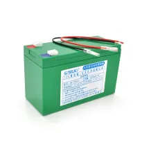 QiSuo 12V 6A (Li-ion 18650)