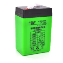 QiSuo 6V 10A (Li-ion 18650)