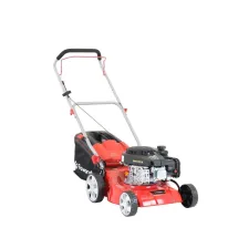 Faworyt SH41P123L