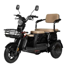 Atlas Elegant Trike 800W Black