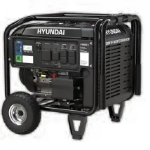 Hyundai DHY 8500LEi