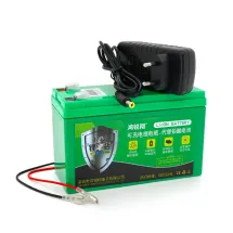 QiSuo 12 V 16A Li-ion 18650 + зарядний пристрій 12,6V 2A