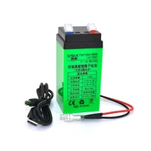 QiSuo 4V 10A з елементами Li-ion 18650