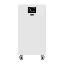 Biom Professional 48В (51.2В) BALFP-512300-V2