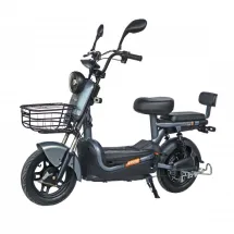 Maxxter E600 (Silver)