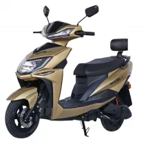 Maxxter SPEEDY GTS (gold)